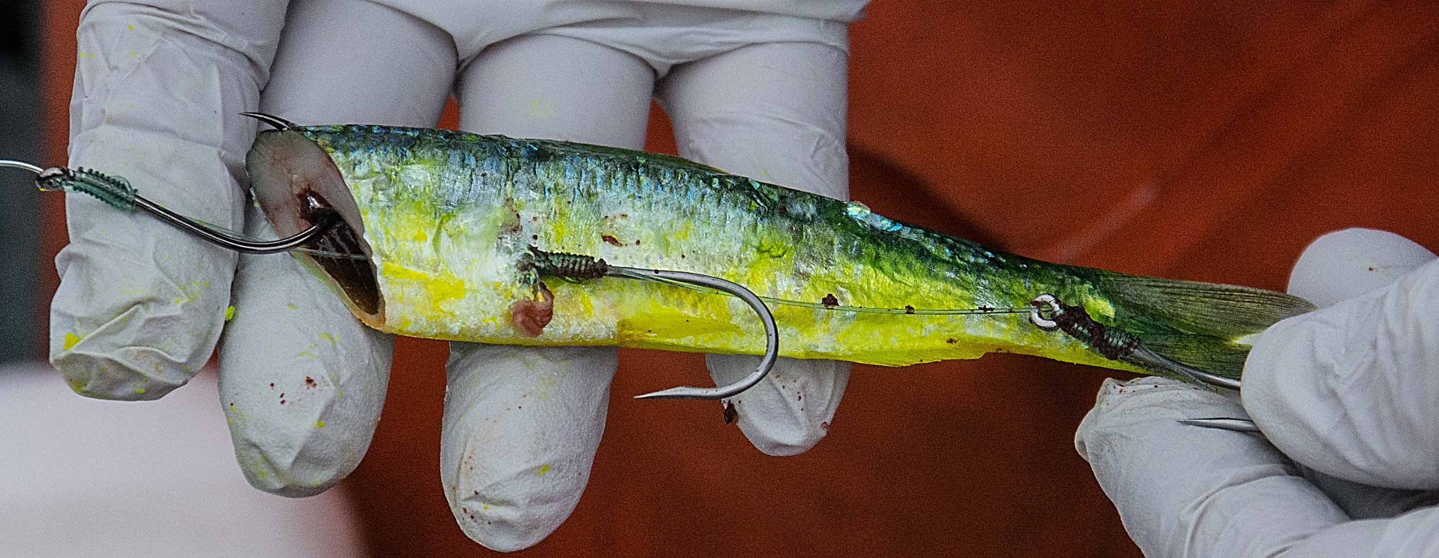 The Versatility of Herring Salmon & Steelhead Journal