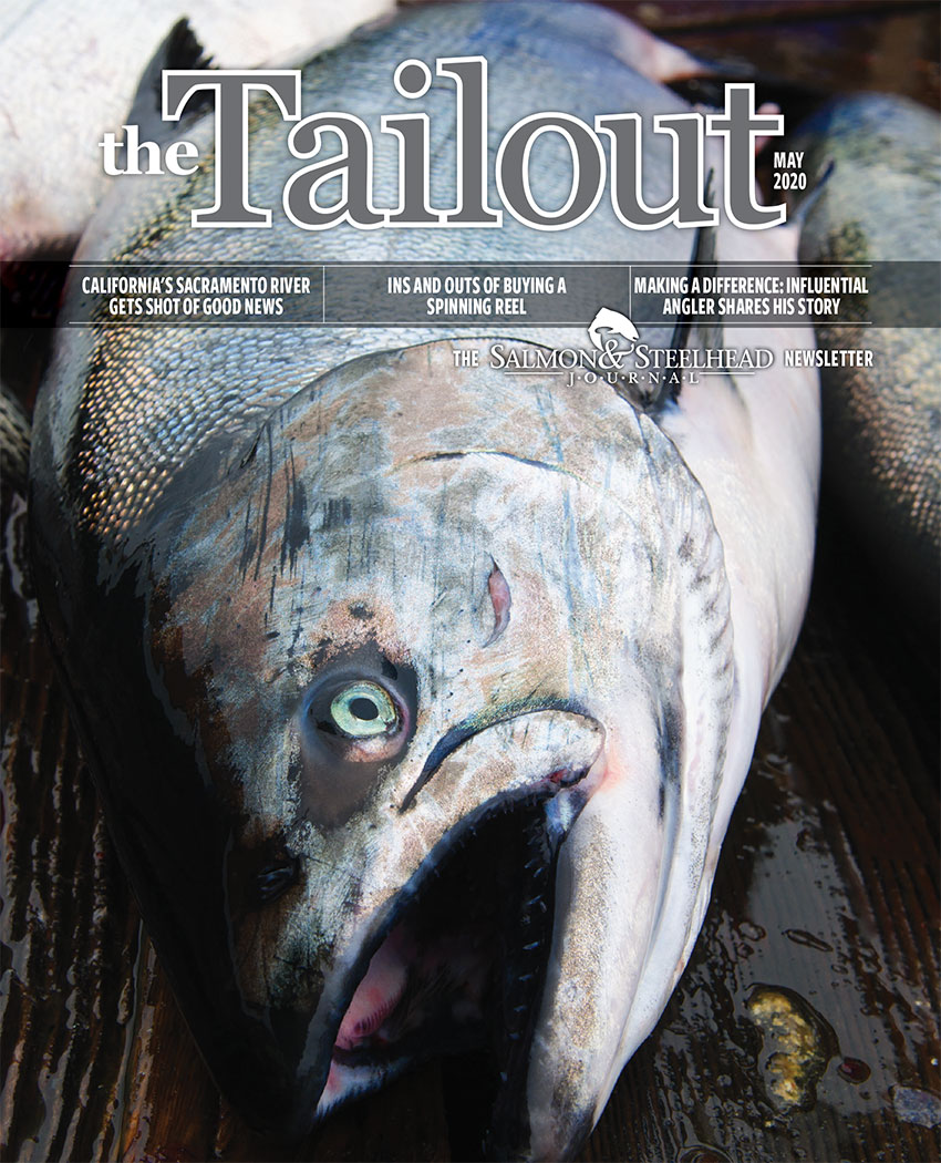 tailout_may2020cover